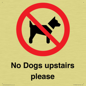 No Dogs upstairs please 